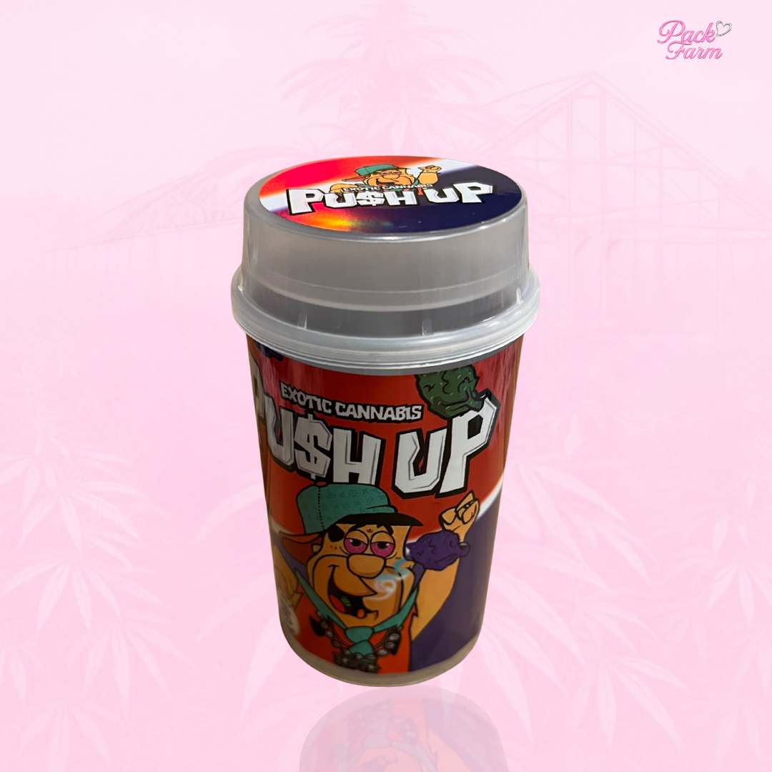 FLINTSTONES PUSH POP